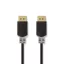 Nedis CCBW37014AT30 DisplayPort kábel 3 M Antracit, Szürke