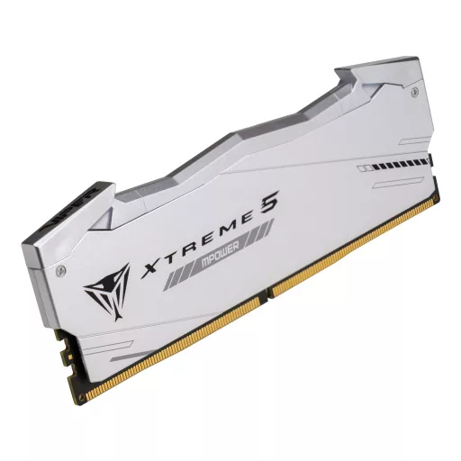 Patriot Memory Viper Xtreme 5 RGB 32 GB 2 x 16 GB DDR5 8000 MT/másodperc 288-pin DIMM ECC