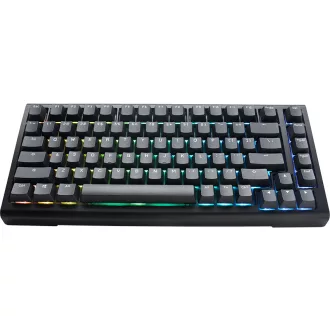   Ducky Tinker 75 billentyűzet Játék USB Amerikai angol Fekete