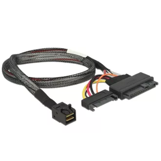 DeLOCK 84819 Belső U.2, SATA