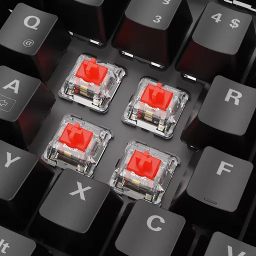 Sharkoon SKILLER SGK20 Red billentyűzet Játék USB QWERTZ Német Fekete