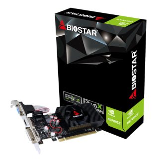 Biostar VN7313THX1 NVIDIA GeForce GT 730 2 GB GDDR3