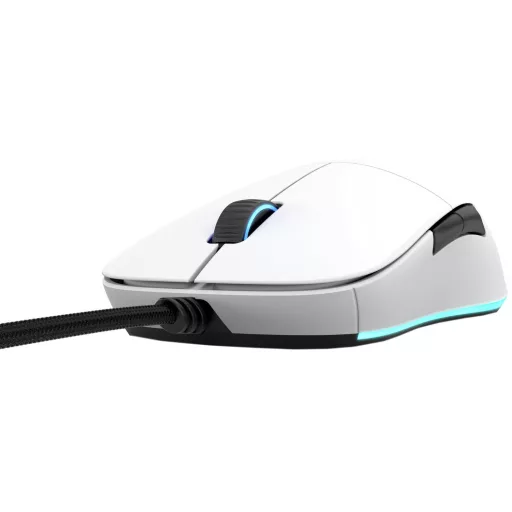 Endgame Gear XM1 RGB egér Játék Jobbkezes USB A típus Optikai 16000 DPI
