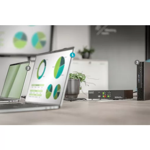 Digitus DS-12880 KVM kapcsoló Fekete
