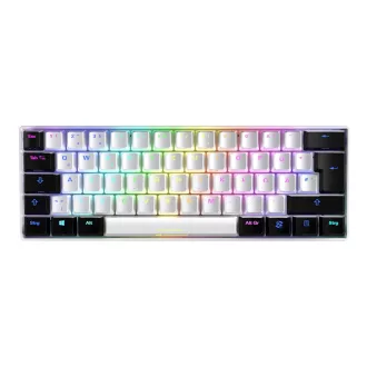   Sharkoon SGK50 S4 billentyűzet Játék USB QWERTZ Német Fehér