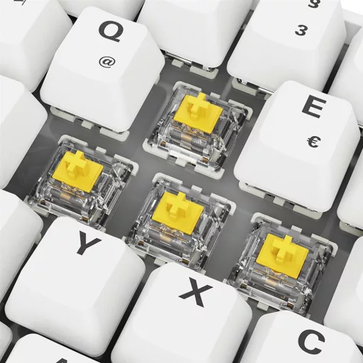 Sharkoon SGK50 S4 billentyűzet Otthoni USB QWERTZ Német Fehér