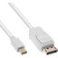InLine 17132 DisplayPort kábel 2 M mini DisplayPort Fehér