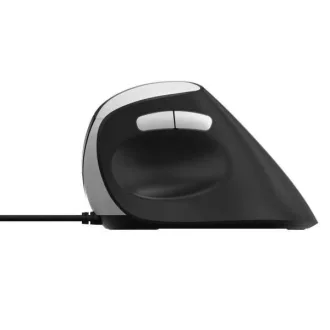   Rapoo EV200 egér Irodai Jobbkezes USB A típus Optikai 1600 DPI