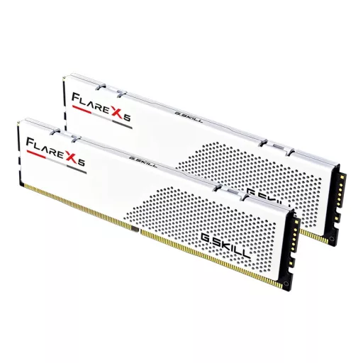 G.Skill Flare X5 F5-6000J2836G16GX2-FX5W 32 GB 2 x 16 GB DDR5 288-pin DIMM