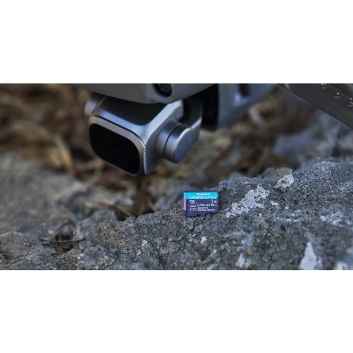 Kingston Technology Canvas Go! Plus 1 TB MicroSD UHS-I Class 10