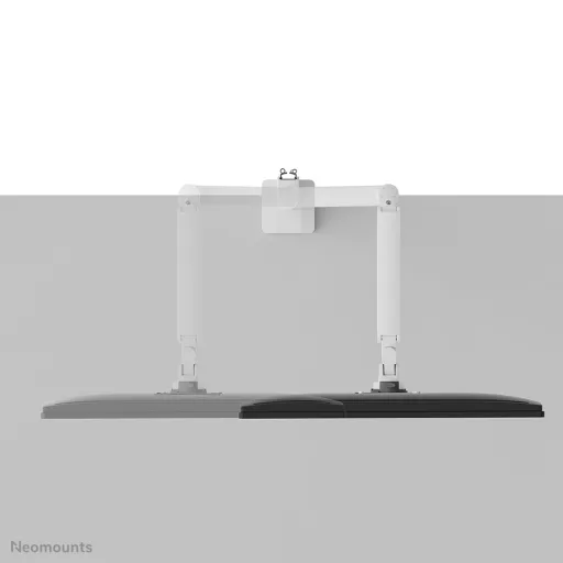 Neomounts DS70-250WH1 asztali TV konzol 88,9 cm (35") Fehér