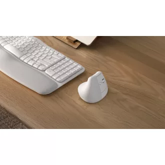   Logitech 910-006475 egér Irodai Jobbkezes RF vezeték nélküli + Bluetooth Optikai 4000 DPI
