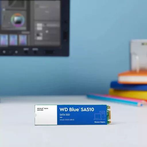SanDisk Blue WD SA510 500 GB M.2 Serial ATA III