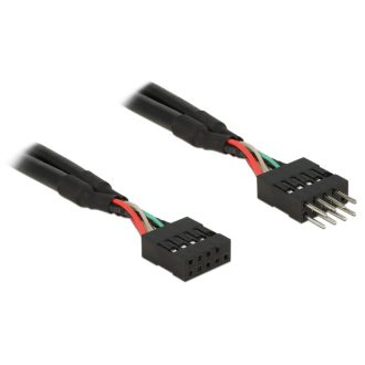 DeLOCK 0.1m 2xUSB2.0 10p