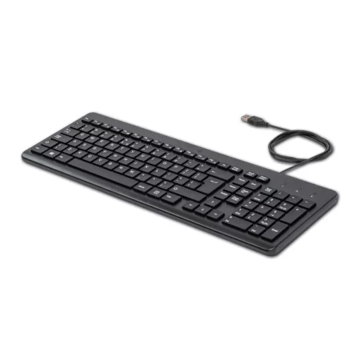 HP 150 Wired Keyboard billentyűzet Univerzális USB QWERTY Angol Fekete