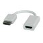 ROLINE DisplayPort-HDMI Adapter 0,15 M HDMI A-típus (Standard) Fehér