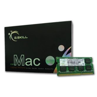 G.Skill 4GB DDR3-1066 SQ MAC 1 x 4 GB