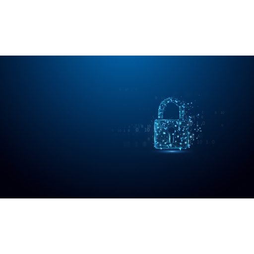 Kingston Technology IronKey D500S USB flash meghajtó 32 GB USB A típus 3.2 Gen 1 (3.1 Gen 1) Fekete