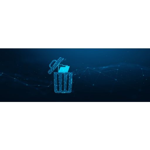 Kingston Technology IronKey D500S USB flash meghajtó 32 GB USB A típus 3.2 Gen 1 (3.1 Gen 1) Fekete