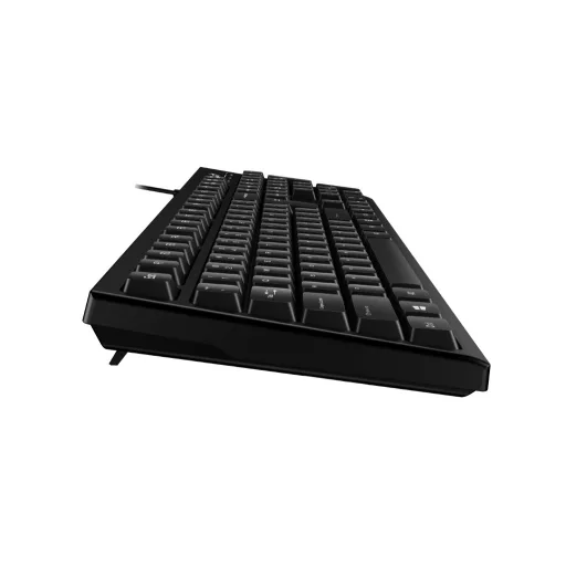 Genius Computer Technology KB-100 billentyűzet Irodai USB QWERTY Angol Fekete