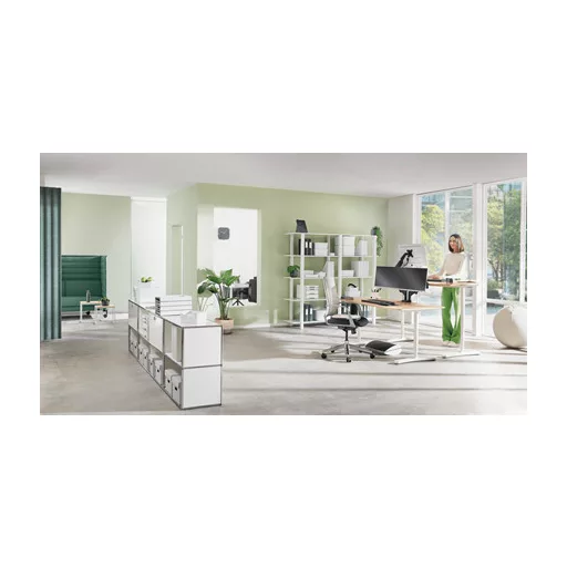 Leitz Ergo Adjustable Monitor Stand 68,6 cm (27") Asztali Szürke