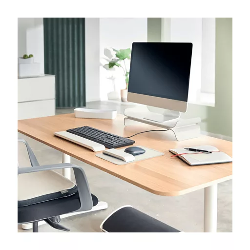 Leitz Ergo Adjustable Monitor Stand 68,6 cm (27") Asztali Szürke