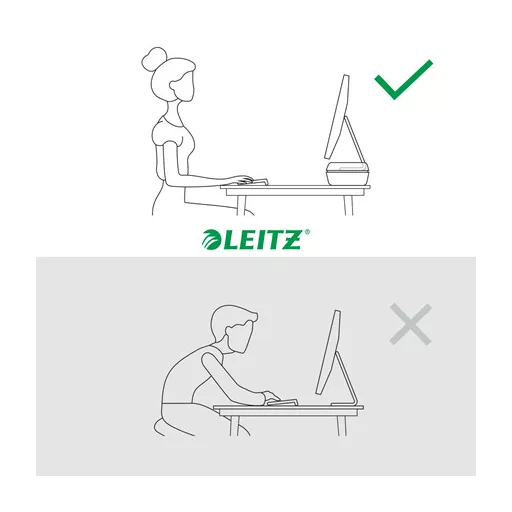 Leitz Ergo Adjustable Monitor Stand 68,6 cm (27") Asztali Szürke