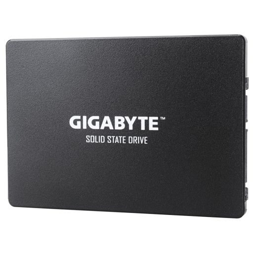 GIGABYTE GP-GSTFS31100TNTD 1 TB 2.5" SATA