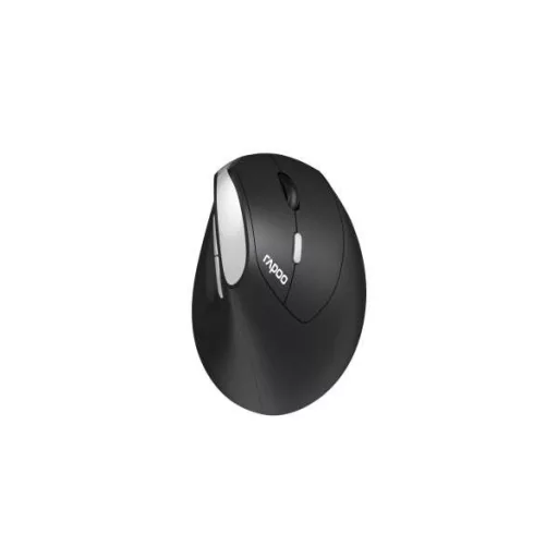 Rapoo EV250 egér Irodai Jobbkezes Vezeték nélküli RF Optikai 1600 DPI