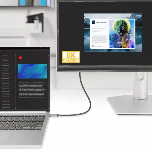 StarTech.com 136B-USBC-HDMI213M video átalakító kábel 3 M USB C-típus HDMI A-típus (Standard) Szürke