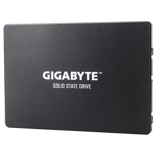 GIGABYTE GP-GSTFS31100TNTD 1 TB 2.5" SATA