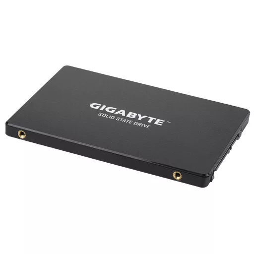 GIGABYTE GP-GSTFS31100TNTD 1 TB 2.5" SATA