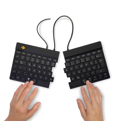 R-Go Tools RGOSP-DEWIBL billentyűzet Univerzális USB QWERTZ Német Fekete
