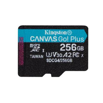   Kingston Technology Canvas Go! Plus 256 GB MicroSD UHS-I Class 10